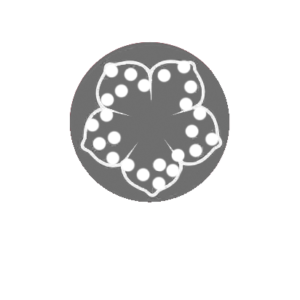 Flamenco
